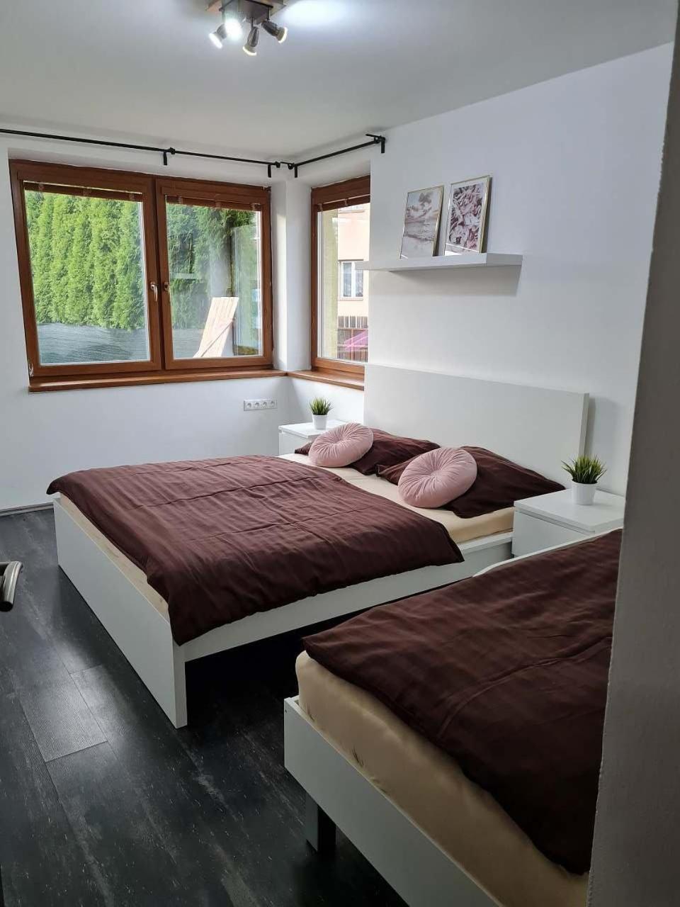Vila Max - Whirlpool & Bazen & Sauna Velké Losiny Buitenkant foto
